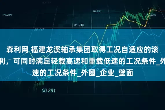 森利网 福建龙溪轴承集团取得工况自适应的滚滑复合轴承专利，可同时满足轻载高速和重载低速的工况条件_外圈_企业_壁面