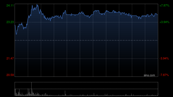 嘉信资本 再鼎医药持续上涨逾7% 一季度总收入同比增长22%至1.06亿美元
