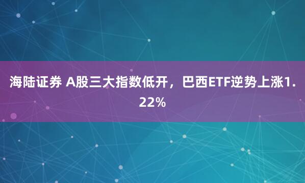 海陆证券 A股三大指数低开，巴西ETF逆势上涨1.22%
